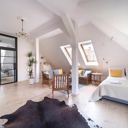 Aviator Dolny By Renters